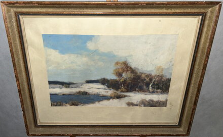 ZASNĚŽENÉ LOUKY LEMOVANÉ LESEM - SIGNOVÁN