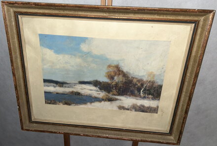 ZASNĚŽENÉ LOUKY LEMOVANÉ LESEM - SIGNOVÁN