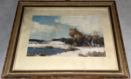 ZASNĚŽENÉ LOUKY LEMOVANÉ LESEM - SIGNOVÁN