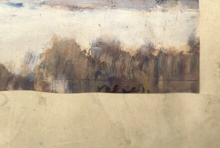 ZASNĚŽENÉ LOUKY LEMOVANÉ LESEM - SIGNOVÁN