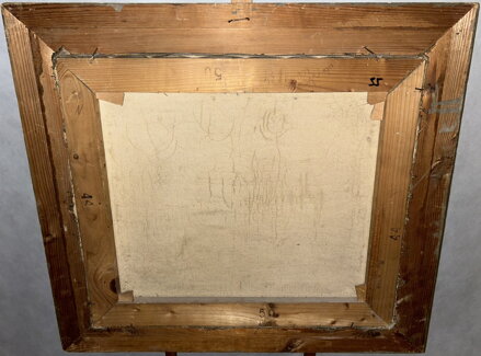 MOŘSKÉ VLNY - JANOVSKÝ