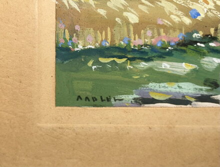 CESTA DO VESNICE - ADLER A.