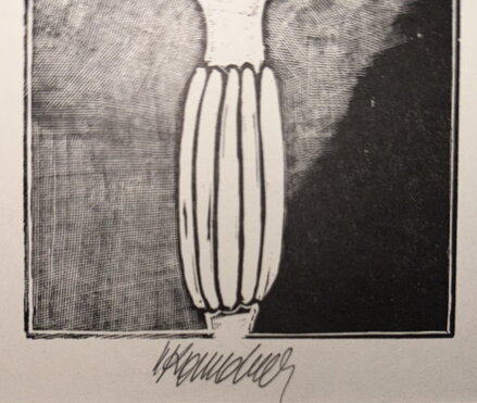 KVĚTINY VE VÁZE - KOMÁREK VLADIMÍR