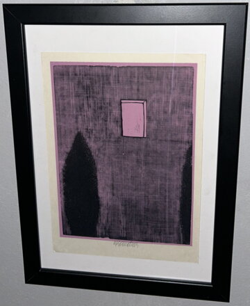 TÚJE POD OKNEM - KOMÁREK VLADIMÍR