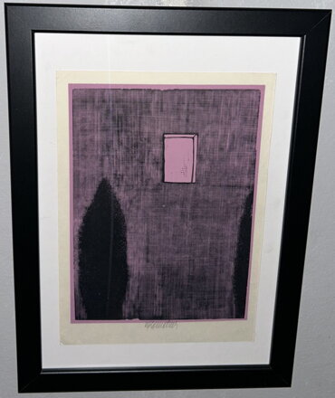 TÚJE POD OKNEM - KOMÁREK VLADIMÍR