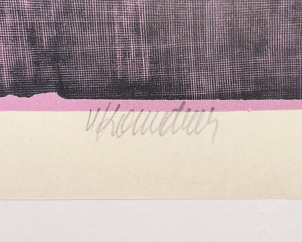 TÚJE POD OKNEM - KOMÁREK VLADIMÍR