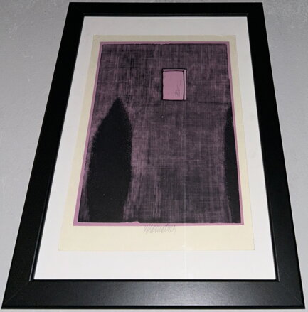 TÚJE POD OKNEM - KOMÁREK VLADIMÍR