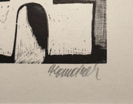 DŮM S PORTÁLEM - KOMÁREK VLADIMÍR