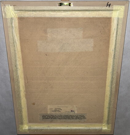 Z TURKESTÁNU - SOUČEK KAREL