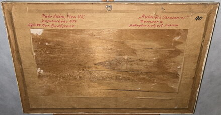 RYBNÍK U OHRAZENICI - VILÉM PETR