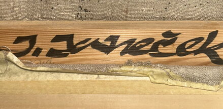 ABSTRAKCE, PTÁCI - JANEČEK J.