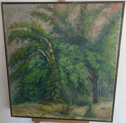 DIVIZNY U STROMU - ŠMÍD