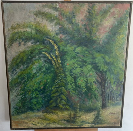 DIVIZNY U STROMU - ŠMÍD