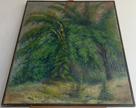 DIVIZNY U STROMU - ŠMÍD