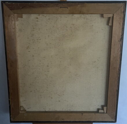 DIVIZNY U STROMU - ŠMÍD