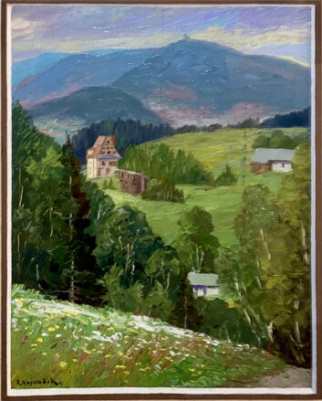 POHLED NA ÚDOLÍ - HAJDUČEK ADOLF