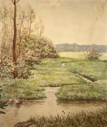 KŘOVÍ U POTOKA -  JANÁČEK MILOSLAV