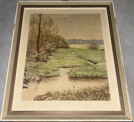 KŘOVÍ U POTOKA -  JANÁČEK MILOSLAV