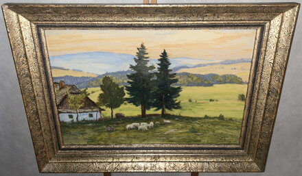 ZE ŠUMAVY - ŠIMEK JINDŘICH