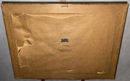 ZE ŠUMAVY - ŠIMEK JINDŘICH