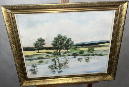 RYBNÍK SE STROMY - NEZNÁMÝ AUTOR