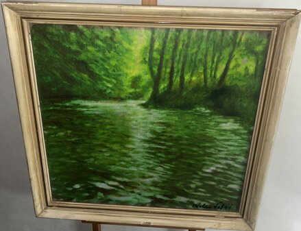 ZELENÁ ŘÍČKA A LES - ŠAFÁŘ VÁCLAV