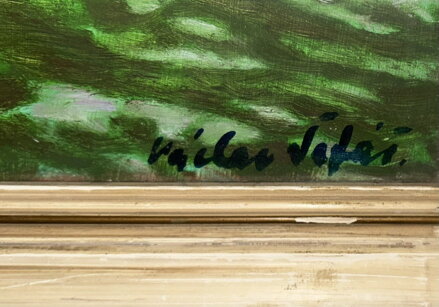 ZELENÁ ŘÍČKA A LES - ŠAFÁŘ VÁCLAV