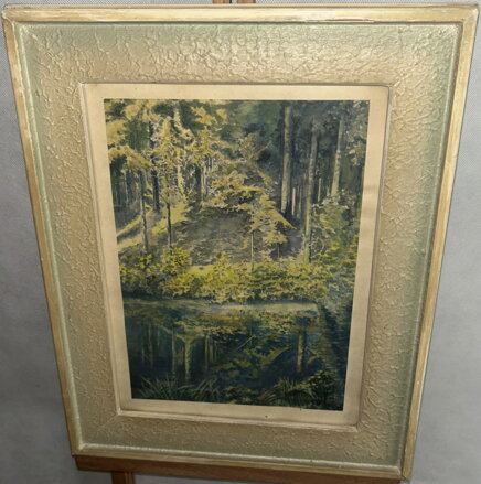 TŮŇKA V LESE - ŠEDIVÝ KAREL