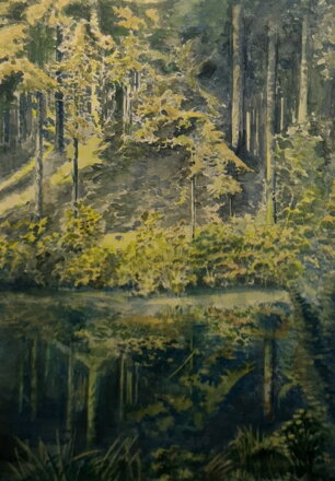 TŮŇKA V LESE - ŠEDIVÝ KAREL