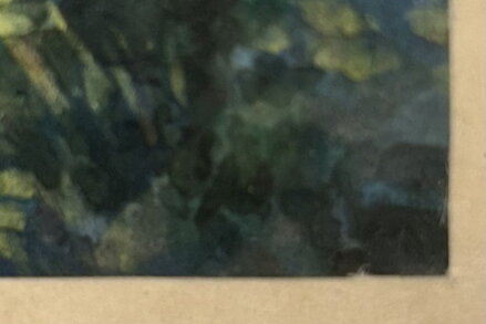 TŮŇKA V LESE - ŠEDIVÝ KAREL