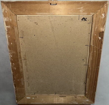 TŮŇKA V LESE - ŠEDIVÝ KAREL