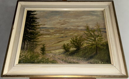 CESTA DO ÚDOLÍ - SIGNOVÁN