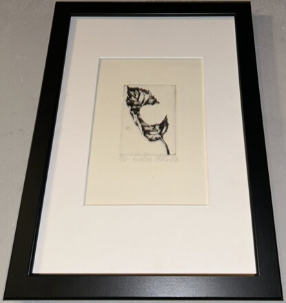 OBRYS JABLKA V LISTU - NEPRAŠOVÁ PLÍŠKOVÁ NADĚŽDA