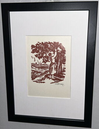 ČESÁNÍ JABLEK - MORAVEC ALOIS