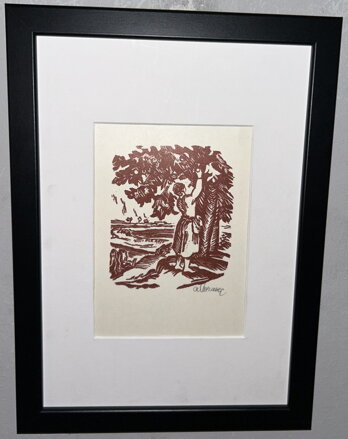 ČESÁNÍ JABLEK - MORAVEC ALOIS