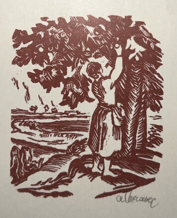 ČESÁNÍ JABLEK - MORAVEC ALOIS