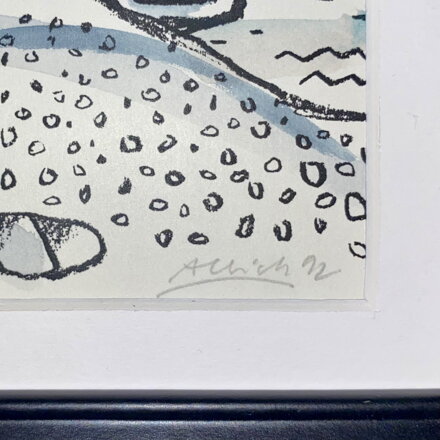 PLACHETNICE U POBŘEŽÍ  - ALBICH MILAN