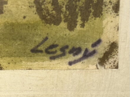 CESTA DO VESNIČKY - LESNÝ LEDERER MILOSLAV