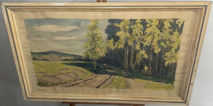 BŘÍZY U LESA - HOŘEŠOVSKÝ M. 