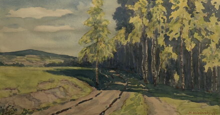 BŘÍZY U LESA - HOŘEŠOVSKÝ M. 