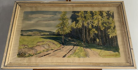 BŘÍZY U LESA - HOŘEŠOVSKÝ M. 