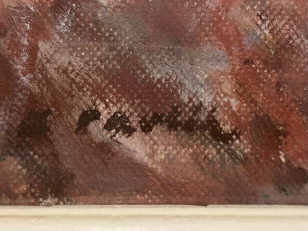 CESTA V ZIMĚ - PAVLÍK