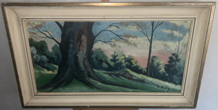 MOHUTNÝ KMEN - SIGNOVÁN