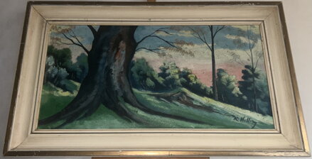 MOHUTNÝ KMEN - SIGNOVÁN