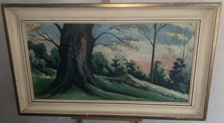 MOHUTNÝ KMEN - SIGNOVÁN