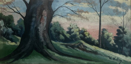 MOHUTNÝ KMEN - SIGNOVÁN