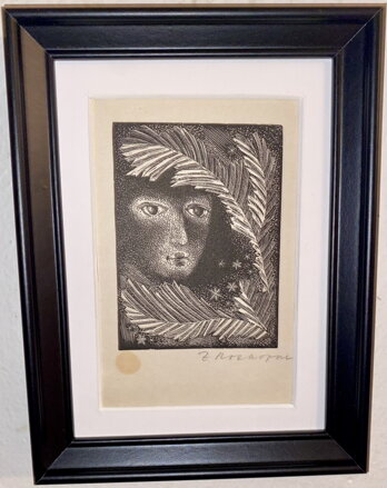 SKRÝŠ ZA KAPRADÍM - ROZKOPAL ZDENĚK