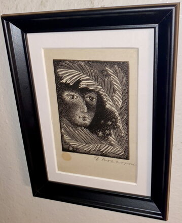 SKRÝŠ ZA KAPRADÍM - ROZKOPAL ZDENĚK