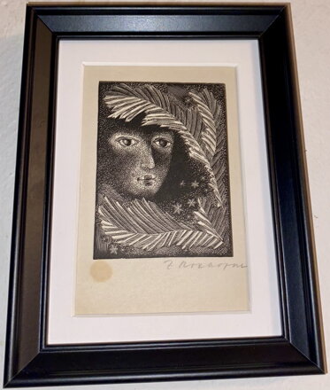 SKRÝŠ ZA KAPRADÍM - ROZKOPAL ZDENĚK