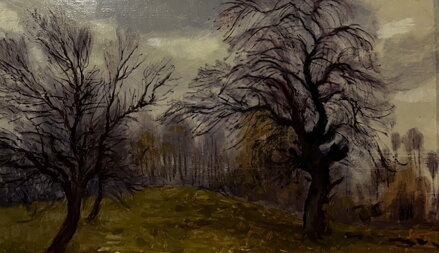 STROMY VE VĚTRU - ŠTEMBERA OTAKAR STROMY VE VĚTRU - ŠTEMBERA OTAKAR